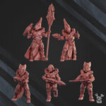 Star Alves Operational Team