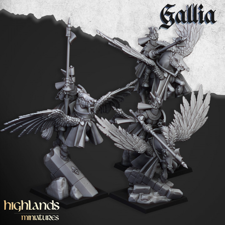 Gallia Knights on Pegasus - Image 1