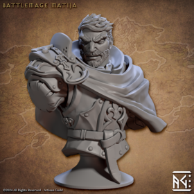 Battlemage Matija - Image 3